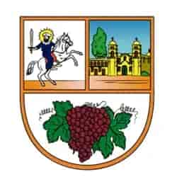 MUNICIPALIDAD DE SURCO
