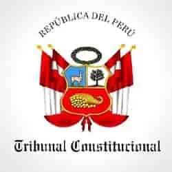 Tribunal Constitucional