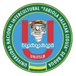Universidad Nacional Intercultural Fabiola Salazar Leguía de Bagua (UNIFSLB)